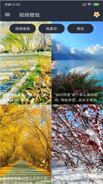安果视频壁纸app图片2