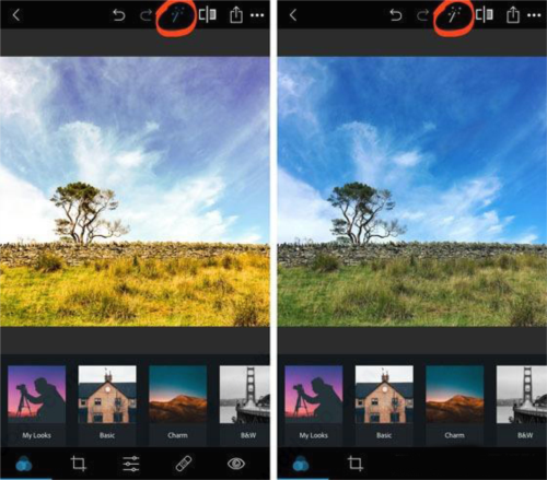 Adobe Photoshop Express使用帮助2