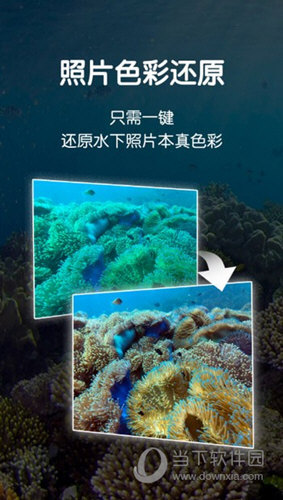 Dive+潜水家软件