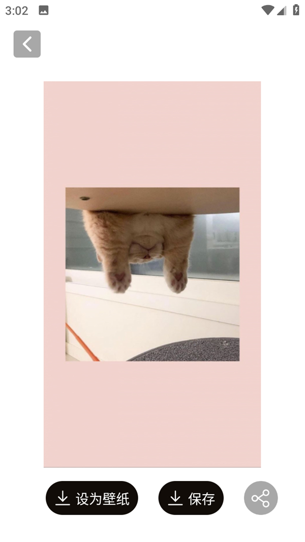 怎么保存图片截图2