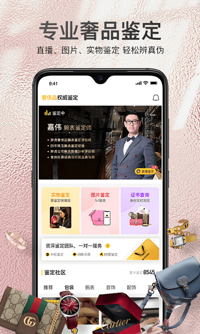 胖虎奢侈品 1