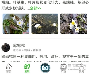 万物识别怎么开启夜间模式1