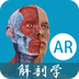 解剖学AR v0.1安卓版下载