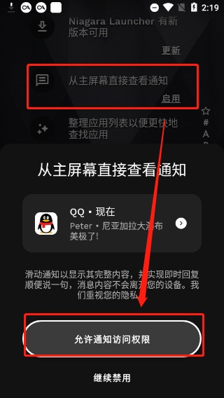 Niagara Launcher图片5