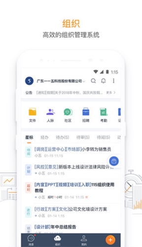 115组织