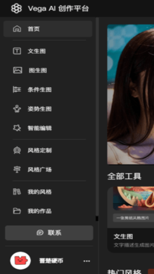 viggleai