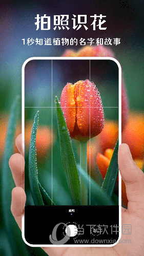 拍照识花APP