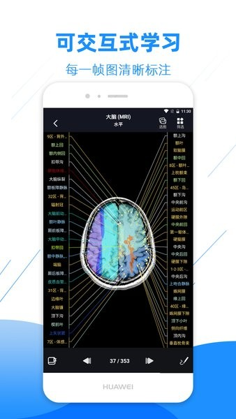 影像解剖图谱app v4.4.3