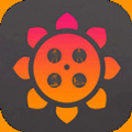 向日葵视频成人app?