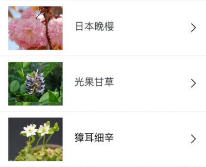 识花1