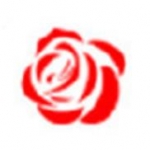 残花视频免费十分钟观看