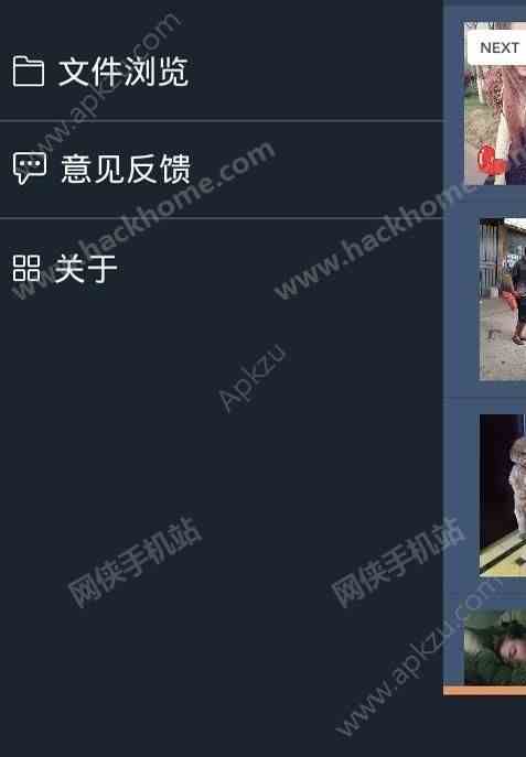 预览图2