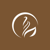 雾空间安卓版app