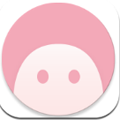 Momo检测最新版 v4.4.1