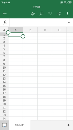 Microsoft Excel3