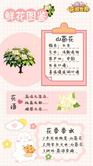 我的花园世界国际服