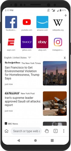 KiwiBrowser官方版 v139.0.7339.0