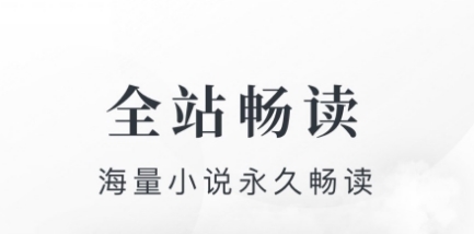 淘小说宣传图
