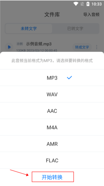 录音文字转换专家