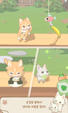 窗外的猫