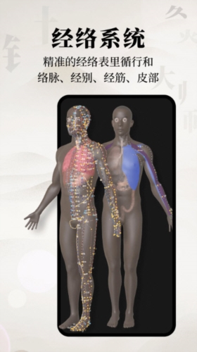 针灸大师