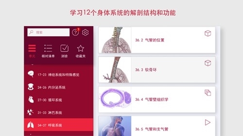 解剖和生理学宣传图