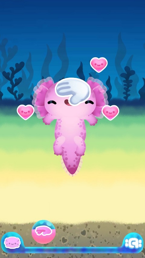Axolochi
