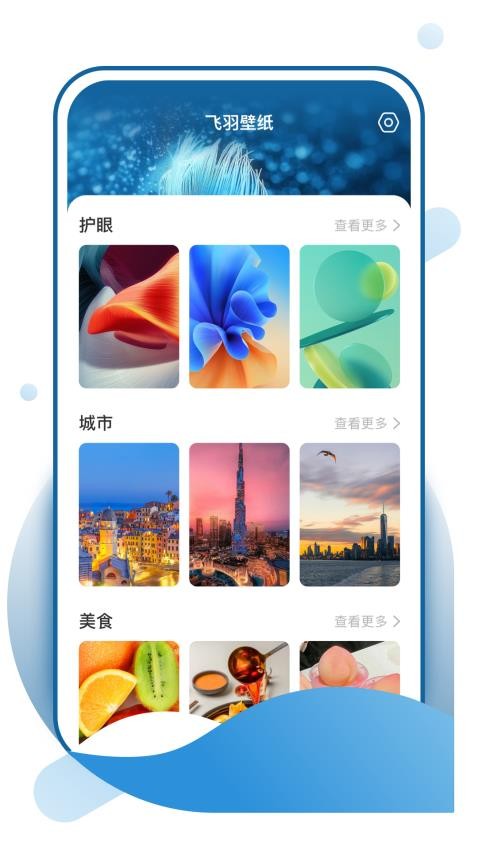 飞羽壁纸 v1.0.0安卓版下载