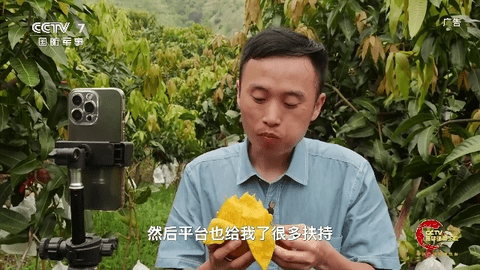 IPV6直播2024最新版