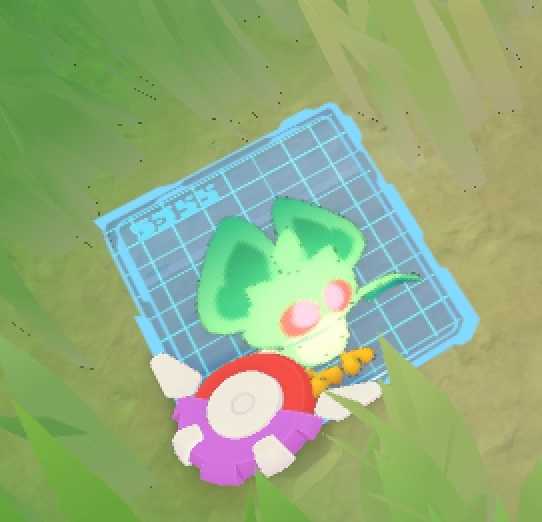 卡米的旅途国际服