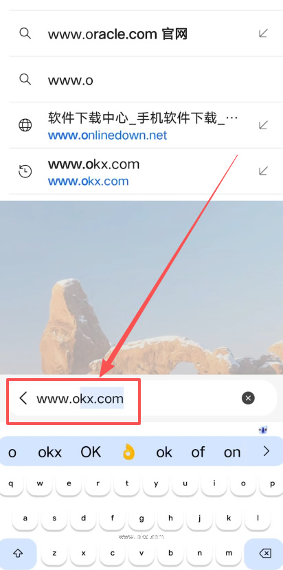 第一步：网络环境准备与访问官网