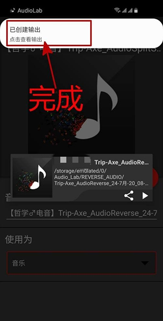 audiolab图片9