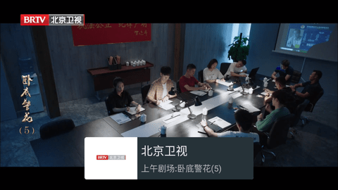 随风电视TV版