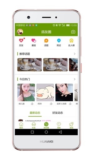 游鸽网2