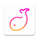 伴鱼音乐软件2025下载