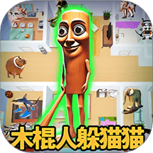 房间躲猫猫游戏