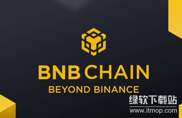 如何正确参与币某安投票活动？币某安投票活动教程2025