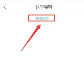 兰精灵13
