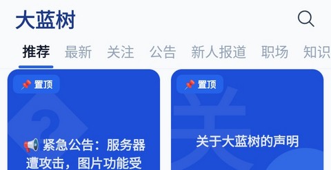 大蓝树正式版
