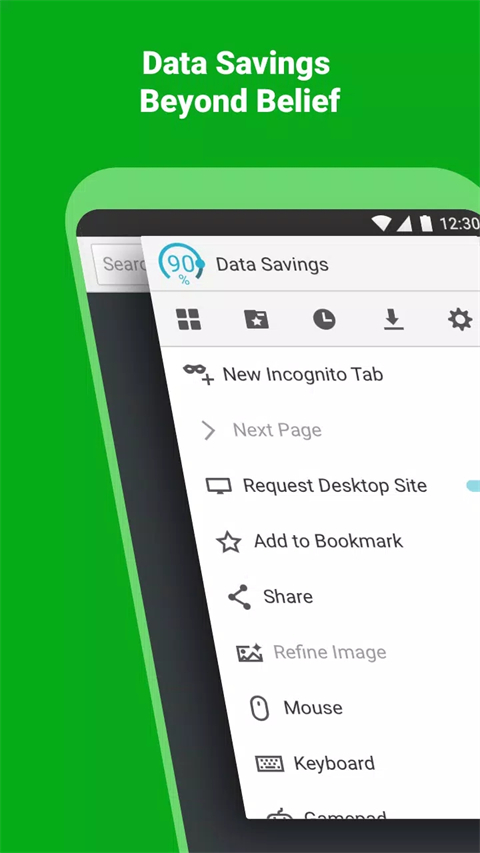 puffin浏览器官网版 v10.4.1.5