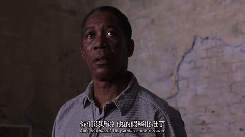 小枫影视TV2024最新版