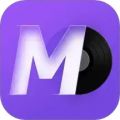 谜底黑胶下载 v2.5.1