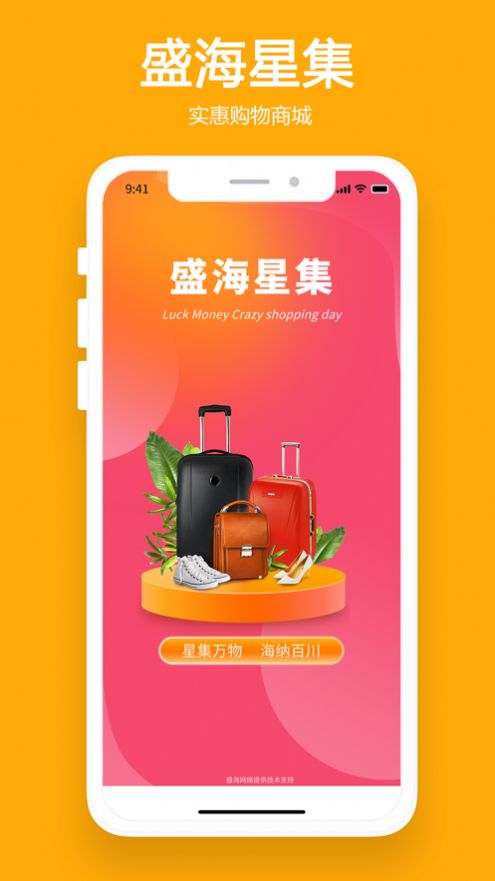盛海星集