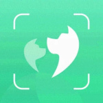 動物百科