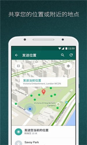 download whatsapp for android