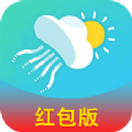 
                水母天气
            