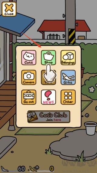 猫咪后院2国际服 v1.27.0安卓版 