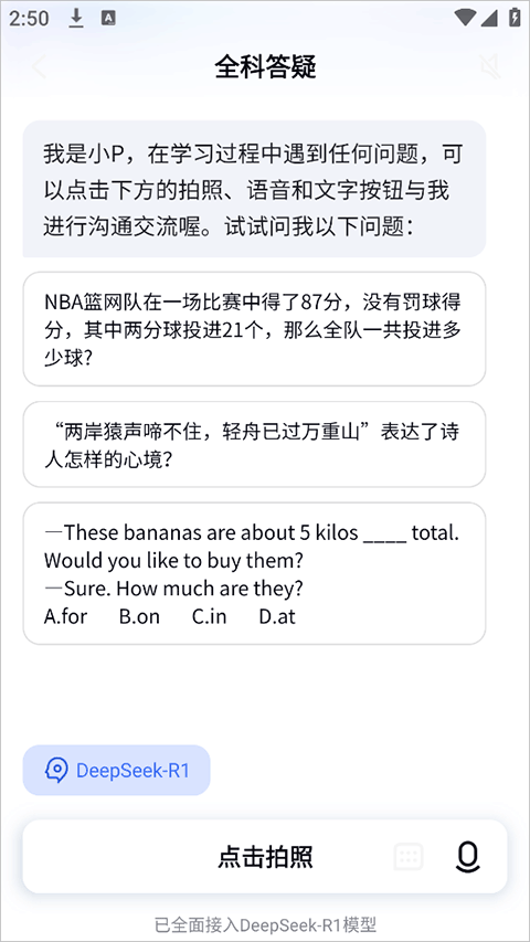 有道小P免费版
