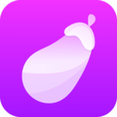 ֱapp׿ֻ