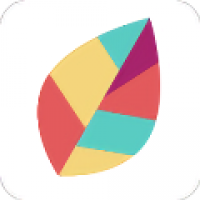 飞火动态壁纸手机版